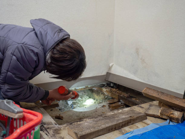 Best Comprehensive Air Testing for Mold Contaminants  in Piermont, NY