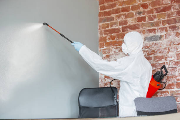 Best Mold Remediation for Healthcare Facilities  in Piermont, NY