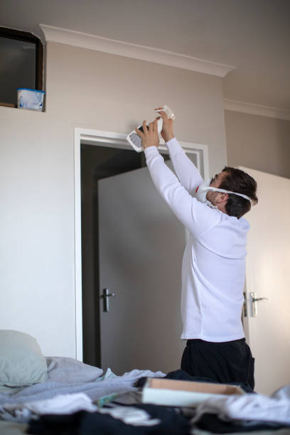 Piermont, NY Mold Removal Company