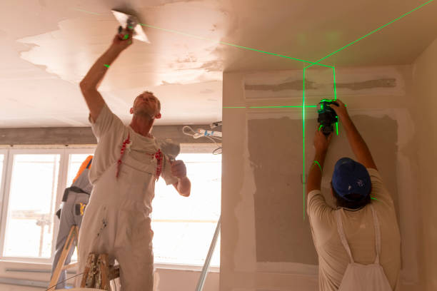 Best Mold Documentation for Insurance Claims  in Piermont, NY