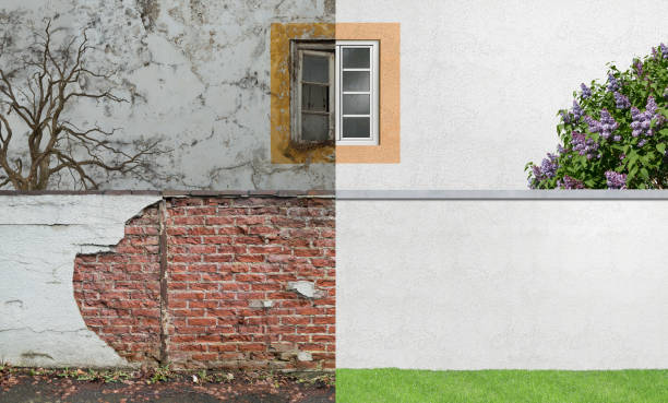 Best Mold Odor Removal Services  in Piermont, NY