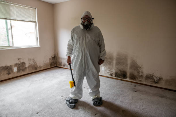 Best Post-Construction Mold Inspection  in Piermont, NY